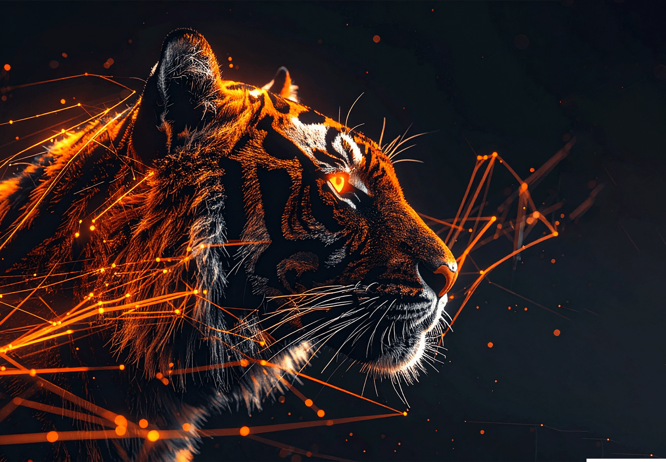 Tiger Background